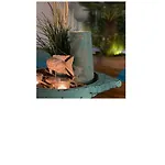 Lejlighed Casa Blanka Bahia Playa Anlage *