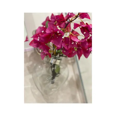 Lägenhet Casa Blanka Bahia Playa Anlage Costa Calma