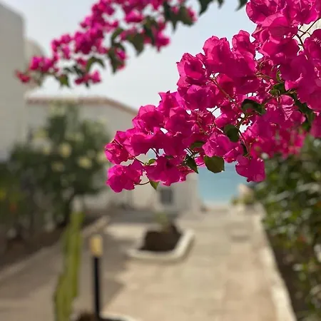 Lägenhet Casa Blanka Bahia Playa Anlage